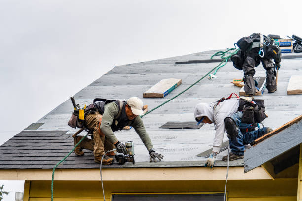 Professional Gutter Installation technician working in Wallington, NJ